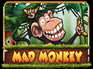Alphaslot88 Mad Monkey