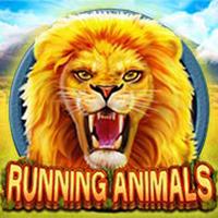 Alphaslot88 Running Animals