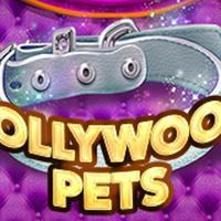 Alphaslot88 Hollywood Pets