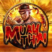 Alphaslot88 Muay Thai