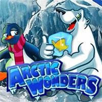 Alphaslot88 Arctic Wonders