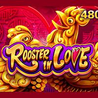 Alphaslot88 Rooster In Love