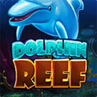 Alphaslot88 Dolphin Reef