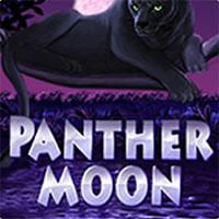 Alphaslot88 Panther Moon