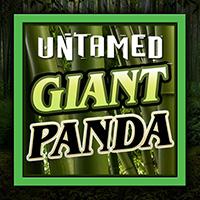 Alphaslot88 Untamed - Giant Panda