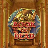 Alphaslot88 Book of Dead