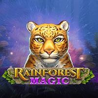 Alphaslot88 Rainforest Magic
