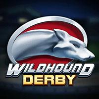 Alphaslot88 Wildhound Derby