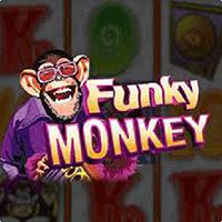 Alphaslot88 Funky Monkey
