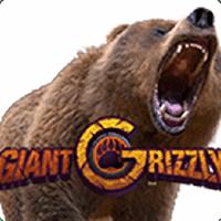 Alphaslot88 Giant Grizzly