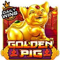 Alphaslot88 Golden Pig™