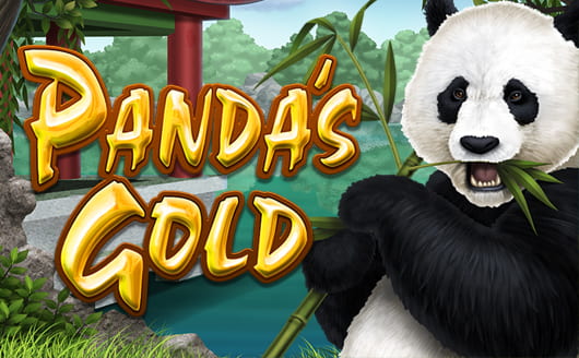 Alphaslot88 'Panda's Gold'